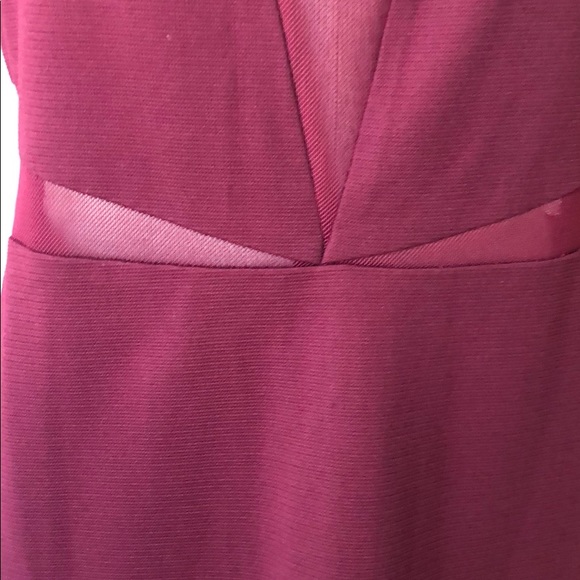 Cranberry mesh paneled dress - Picture 6 of 6